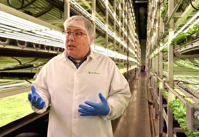 Vertical farming is an efficient way to grow vegetables (Picture: Angela Weiss/AFP via Getty Images)
