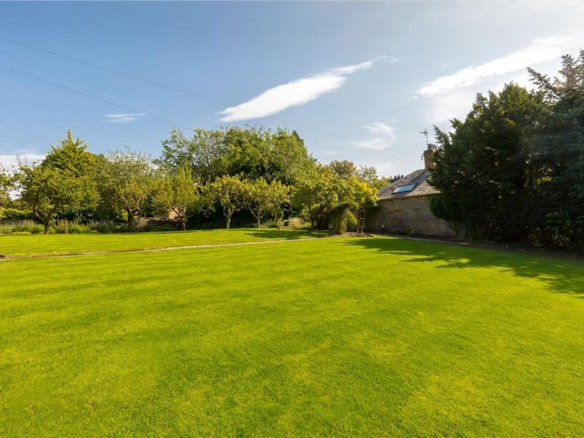 Rear garden.