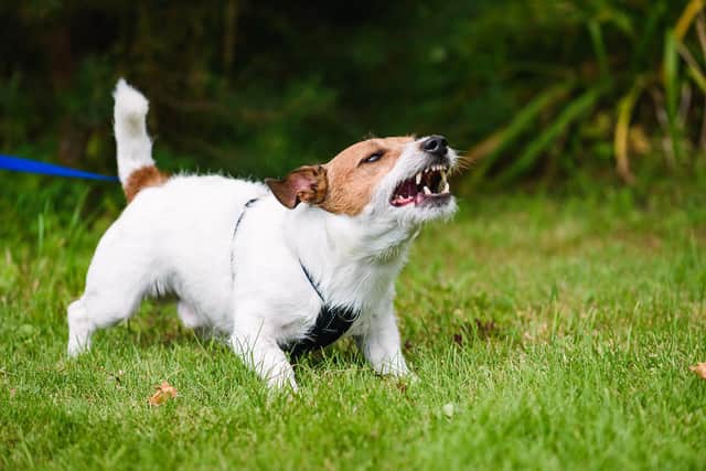 Dog-walkers are being urged to keep their pets under control at all times during the Covid-19 lockdown in a bid to stop potentially fatal attacks on wildlife and livestock