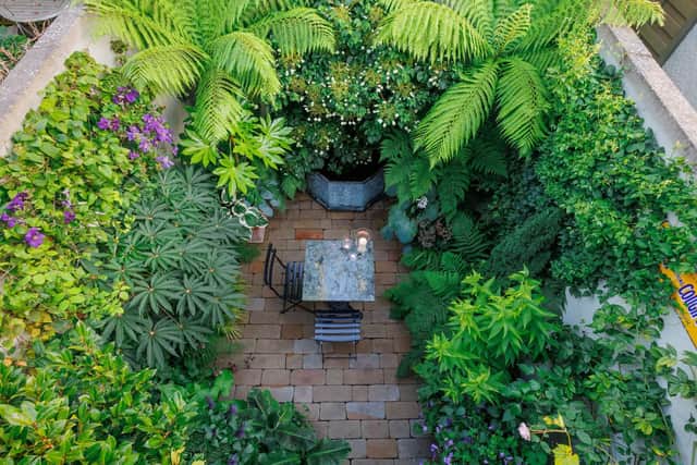 Clive’s jungle-themed garden features a range of semi tropical plants creating a tranquil oasis in the heart of the city. Judges noted that every plant in the garden was in perfect health when awarding him first place.