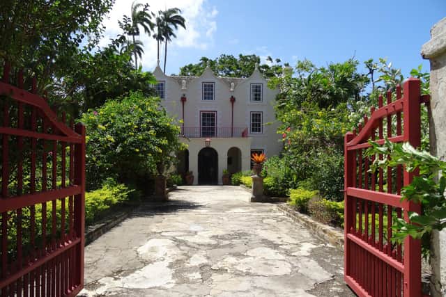 The sugar cane plantation at St Nicholas Abbey which dates back to the mid-17th century.
