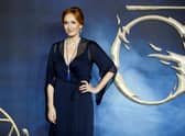 British author andJ .K. Rowling. Photo: TOLGA AKMEN/AFP via Getty