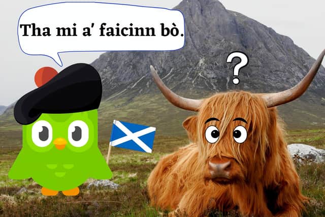 Over 1 million people have taken on Scottish Gaelic with the language-learning app Duolingo, but is it good? [Translation: "I am seeing a Cow."]