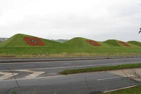 Sheep were eventually allowed to graze on the sculpture, keeping the grass short and adhering to the environmental aspect of it. The pyramid shape of the ramps provided a name for the nearby Pyramids Business Park and in April 2007, a local farmer dyed the sheep red using a harmless sheep spray. Giant poppies are often painted on the Sawtooth Ramps for Remembrance Day.