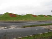 Sheep were eventually allowed to graze on the sculpture, keeping the grass short and adhering to the environmental aspect of it. The pyramid shape of the ramps provided a name for the nearby Pyramids Business Park and in April 2007, a local farmer dyed the sheep red using a harmless sheep spray. Giant poppies are often painted on the Sawtooth Ramps for Remembrance Day.
