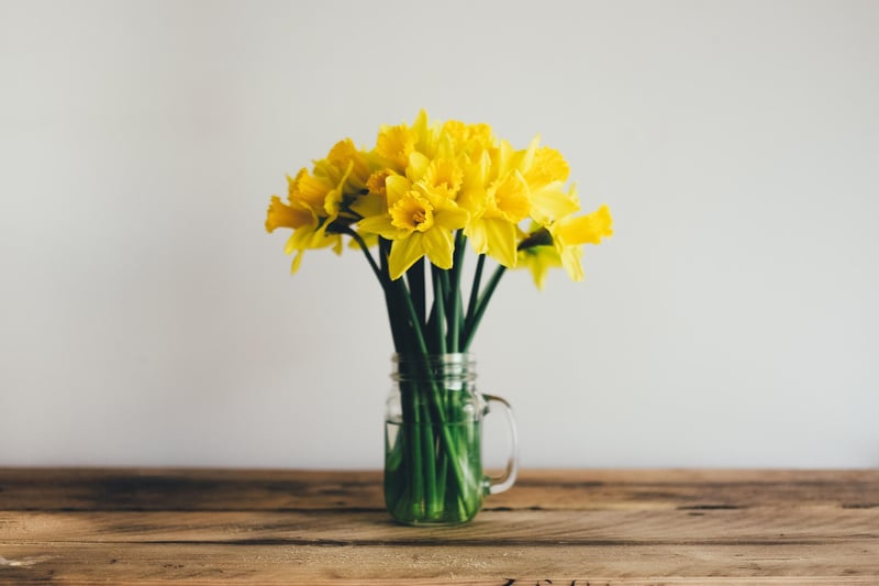 This flower blooms early and symbolises new beginnings so complements Aries as the first sign of the zodiac. They also symbolise faithfulness due to their ability to bloom year after year, making them ideal for a loyal friend.