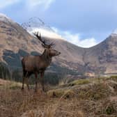 Glen Etive can be found in the Scottish Highlands between the beautiful Loch Etive and the A82. Many tourists have flocked to the area in search of the filming locations from movies like James Bond’s Skyfall and Braveheart.