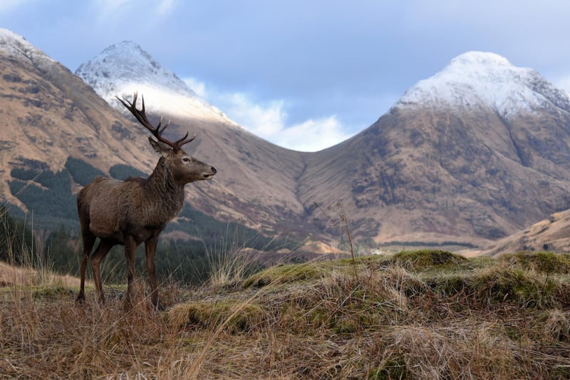 Glen Etive can be found in the Scottish Highlands between the beautiful Loch Etive and the A82. Many tourists have flocked to the area in search of the filming locations from movies like James Bond’s Skyfall and Braveheart.