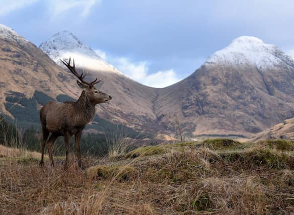 Glen Etive can be found in the Scottish Highlands between the beautiful Loch Etive and the A82. Many tourists have flocked to the area in search of the filming locations from movies like James Bond’s Skyfall and Braveheart.
