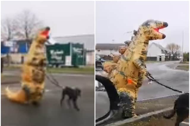 Edyta Wilczek was in her car when she spotted the figure walking a dog nearby the Telford Retail Park. Her husband, Krystian Wilczek, was able to capture this extraordinary footage. Pictures: Facebook