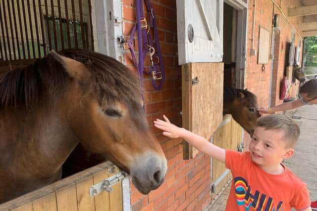 The Exmoor Pony Centre. G Munro