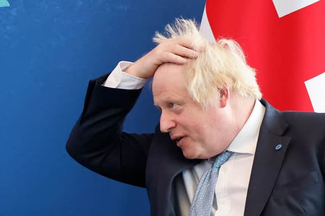 Is Boris Johnson a populist cuckoo in the Conservative nest? (Picture: Tolga Akmen/AFP via Getty Images)