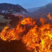 Scottish Fire and Rescue Service warn of extreme risk of wildfire across the country this week (picture: Scott J MacLucas-Paton)