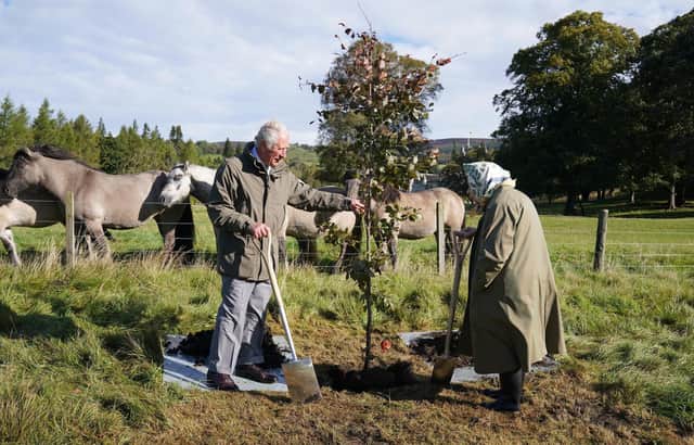 Kathleen Jamie's poem about Queen Elizabeth, seen planting a tree at Balmoral, focused on their shared love of the Scottish landscape (Picture: Andrew Milligan/pool/AFP via Getty Images)
