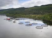 The trade body says the report comes amid calls for an overhaul of the 'cluttered' regulatory and planning system for salmon farming. Picture: Robert Paterson.