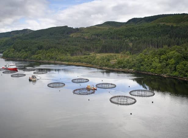The trade body says the report comes amid calls for an overhaul of the 'cluttered' regulatory and planning system for salmon farming. Picture: Robert Paterson.