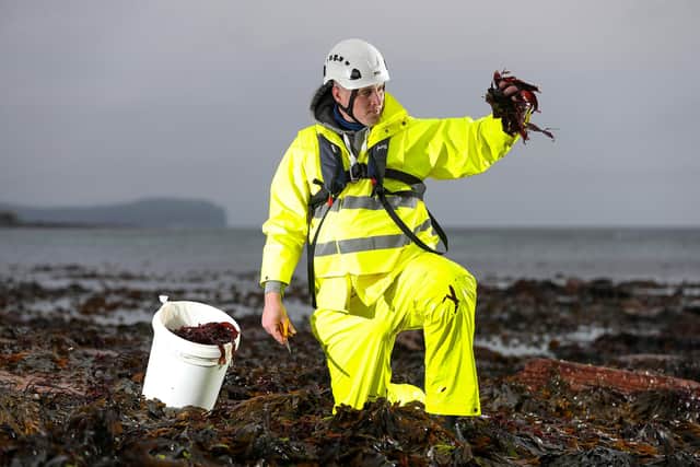 Peter Elbourne, managiing director and co-founder of seaweed firm Shore, has turned a life-long obsession with algae into a thriving international food business based in Wick, in the far north of Scotland. Picture: Glen Minikin