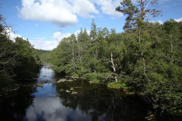 Part of the River Enrick included in Startline's rewilding project. Picture: contributed.