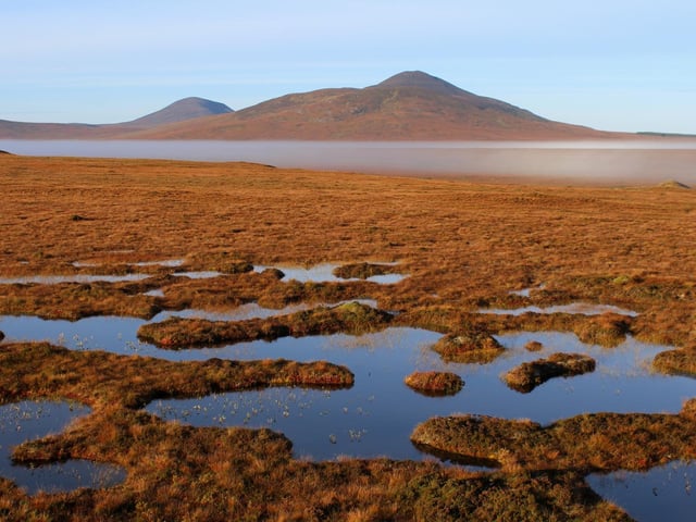 The Flow Country of Caithness and Sutherland was under consideration for World Heritage status back in 2020. The vast expanse of wetland and peatland is the largest of its kind in Europe, covering roughly 1,500 square miles. The natural site is also a breeding ground for a variety of species of bird.