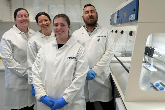 Members of the BioCaptiva team in the lab.