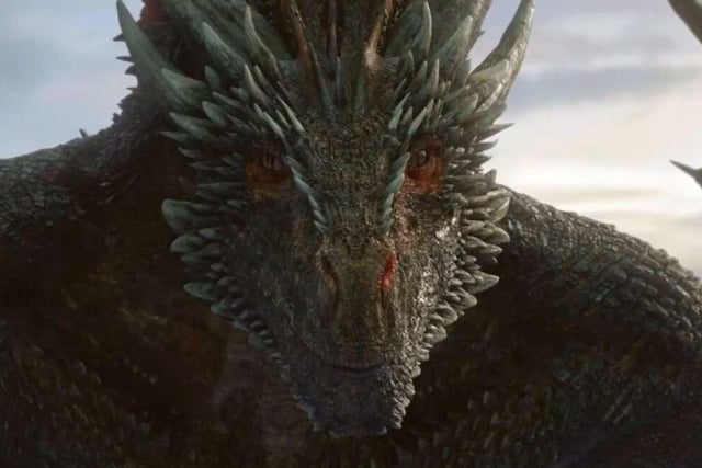 At around 95 years-old, Vermithor was the dragon of King Jaehaerys, Viserys’ grandfather. The Bronze Fury is thought to be one of the largest dragons alive.