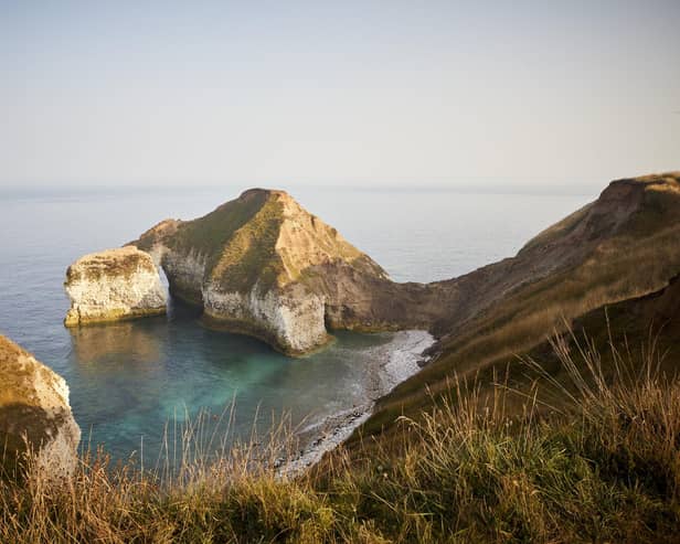 See the drinking dinosaur on Yorkshire’s incredible coastline – so much to explore within a few hundred miles. Picture – supplied.