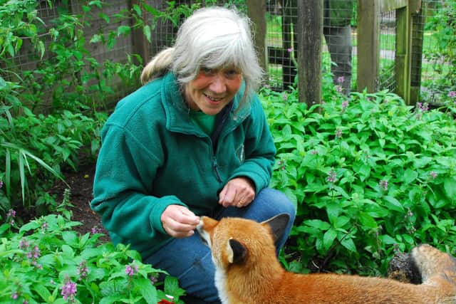 Gay Christie with one of the thousands of animals she helped down the decades