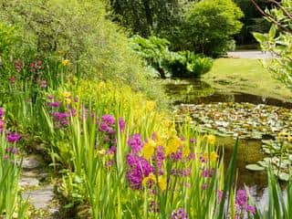 Attadale Water Garden