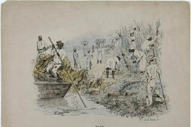 A sugar plantation in Surniname, South America, in the mid-19th Century. PIC: Creative Commons.