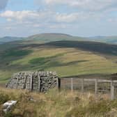 The Langholm Initiative has bought more than 10,000 acres of land near Langholm (Picture: Simon Thorp)