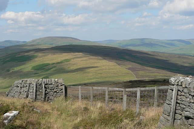 The Langholm Initiative has bought more than 10,000 acres of land near Langholm (Picture: Simon Thorp)