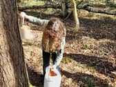 Junior ranger installing the feeders.