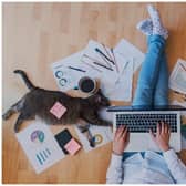 Working from home may have its benefits like getting up a bit later, wearing comfy clothes and having an oven handy for making lunch (Photo: Shutterstock)