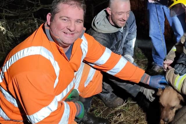 Bailey the dog was rescued after becoming trapped in a foxhole underneath a garage in Glasgow picture: SSPCA