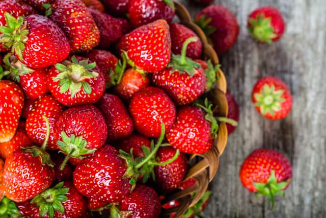 Weather volatility could shorten strawberry harvest windows (Picture: stock.adobe.com)