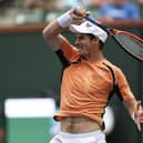 Andy Murray took down David Goffin 6-3 6-2 in Indian Wells.