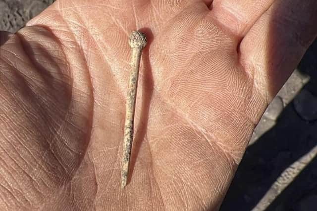 One of the 'bramble' bone pins found at Burghead this summer. PIC: Gordon Noble.