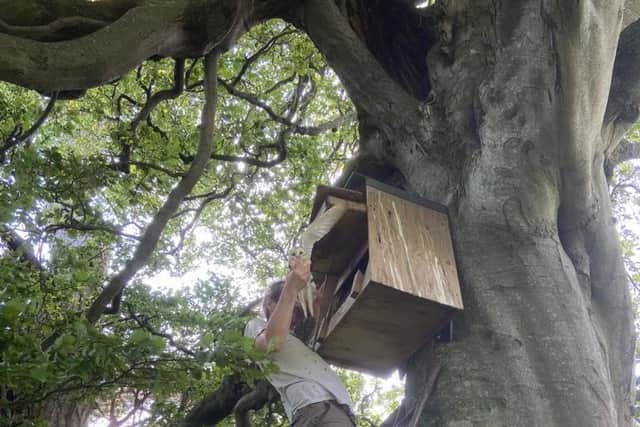 Nest boxes have been put up in various locations around Millden to provide extra homes for the barn owls