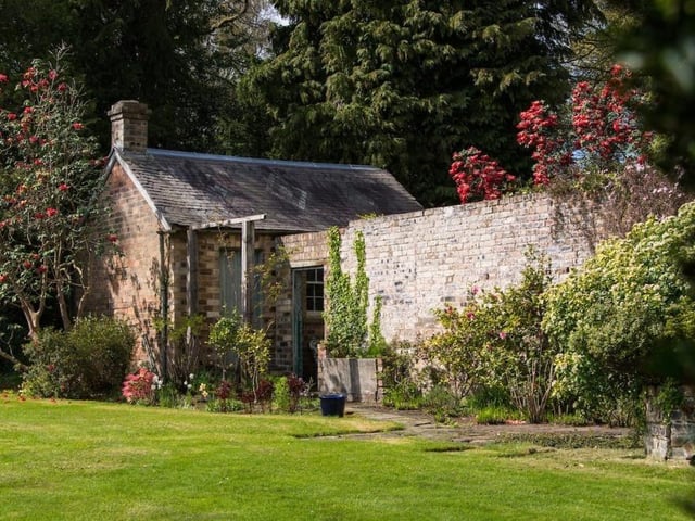 Garden.