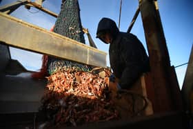 Proper management of the seas could enable fish populations to recover, allowing more to be caught, while protecting marine habitats and reducing carbon emissions (Picture: Andy Buchanan/AFP via Getty Images)