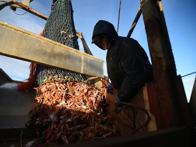 Proper management of the seas could enable fish populations to recover, allowing more to be caught, while protecting marine habitats and reducing carbon emissions (Picture: Andy Buchanan/AFP via Getty Images)
