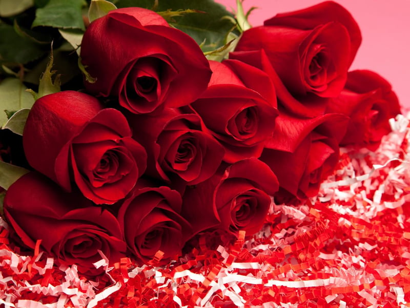 Nothing says romance like a dozen red roses, but be aware that thorns can get stuck in curious paws, mouths and noses if not kept out of the way on a high shelf.