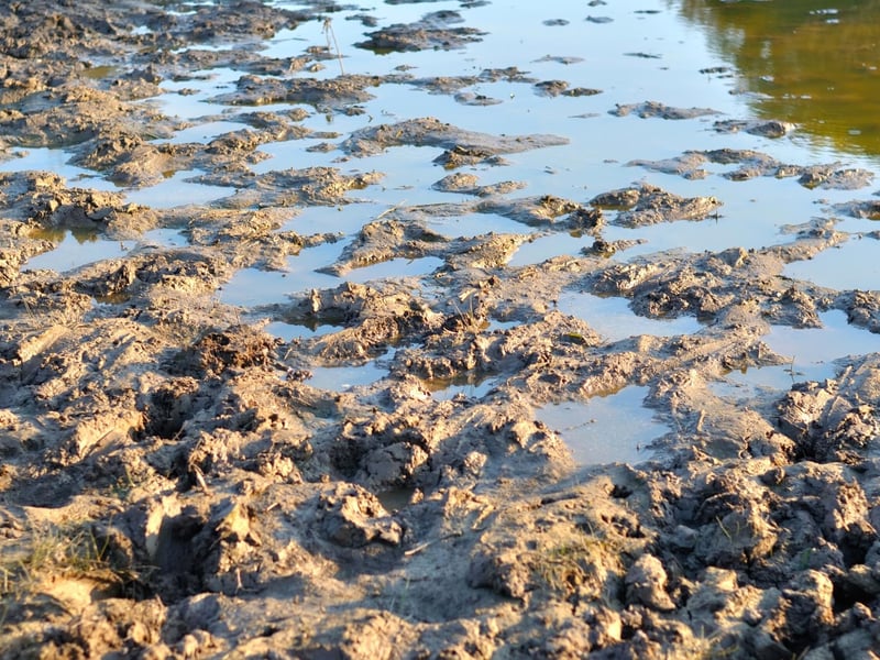 After a pish-oot season you'll find glabber (soft wed mud) everywhere - as it eventually dries to soft sticky mud it will be known as glaur.
