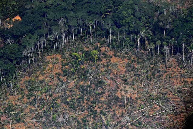 Aerial picture showing a deforested piece of land in the Amazon rainforest. Picture: CARL DE SOUZA/AFP via Getty Images