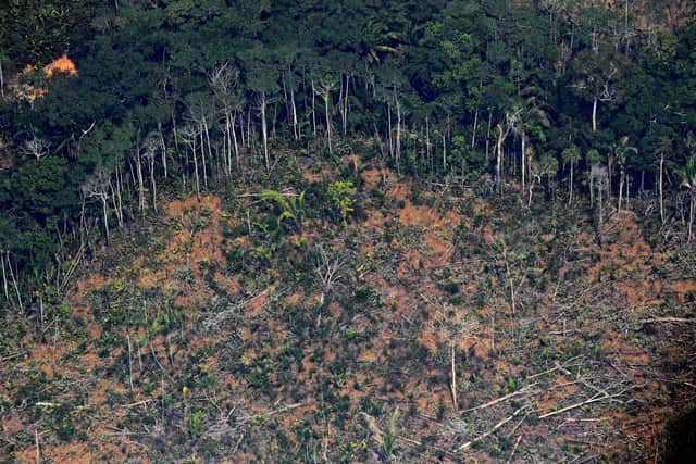 Aerial picture showing a deforested piece of land in the Amazon rainforest. Picture: CARL DE SOUZA/AFP via Getty Images