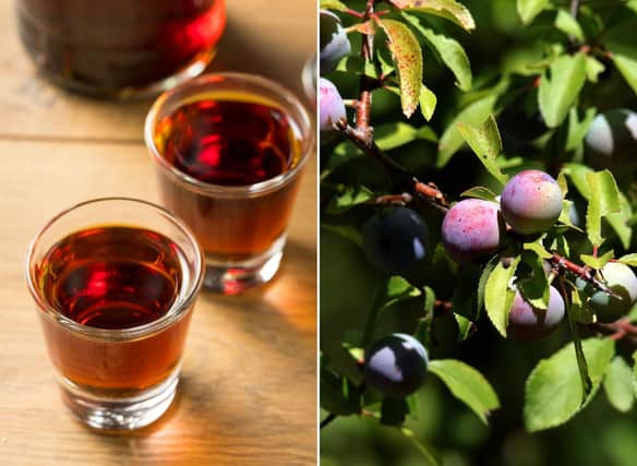 A few simple steps - and a bit of patience - can turn virtually inedible sloe berries into delicious sloe gin.