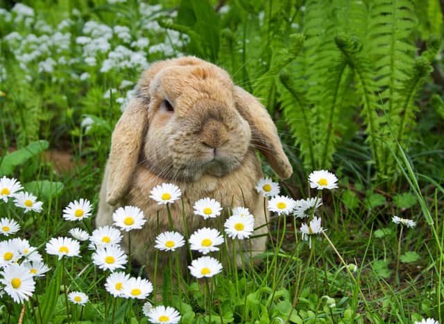Easter Sunday will fall on April 9 in 2023.