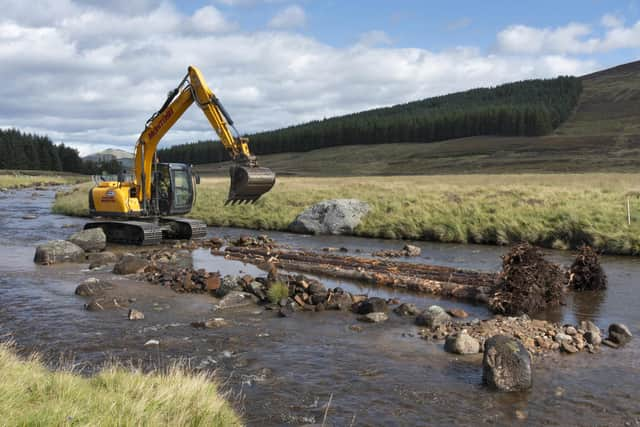 Inserting woody structures to create new river dynamics and habitats.