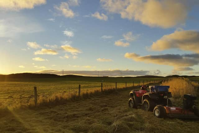 Cutting Corncrake early cover areas, RSPB Coll Nature Reserve, Scotland, November