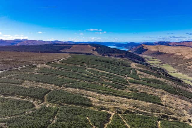 The Glen Shira Forest overlooks Loch Fyne in Argyll and Bute and is on the market with offers of more than £29million (Goldcrest Land and Forestry handout)
